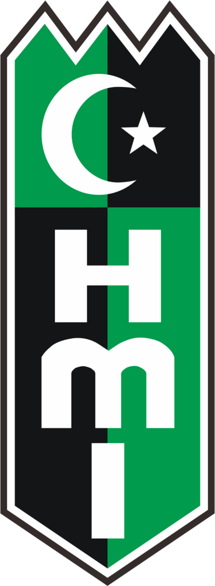 Logo HMI kab bintang
